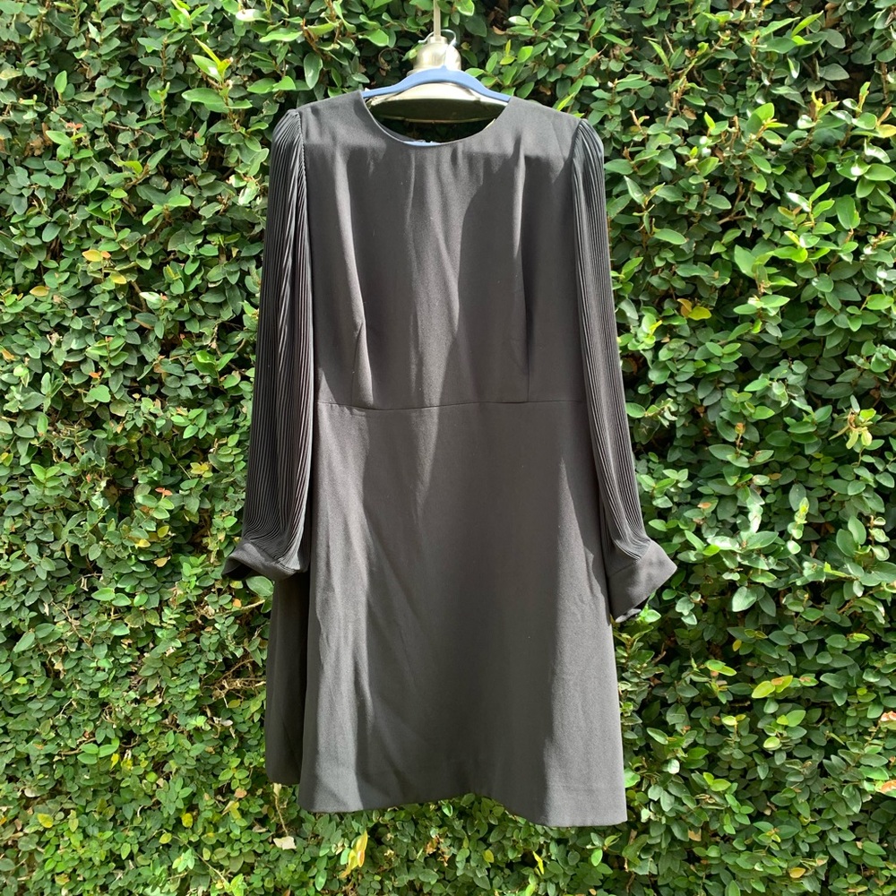 J. Crew Pleated Sleeve A-Line